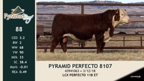 Lot #88 - PYRAMID PERFECTO 8107