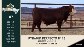 Lot #87 - PYRAMID PERFECTO 8118