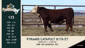 Lot #125 - PYRAMID CATAPULT 8175 ET