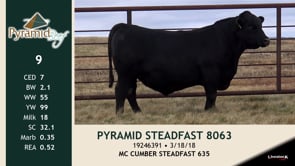 Lot #9 - PYRAMID STEADFAST 8063