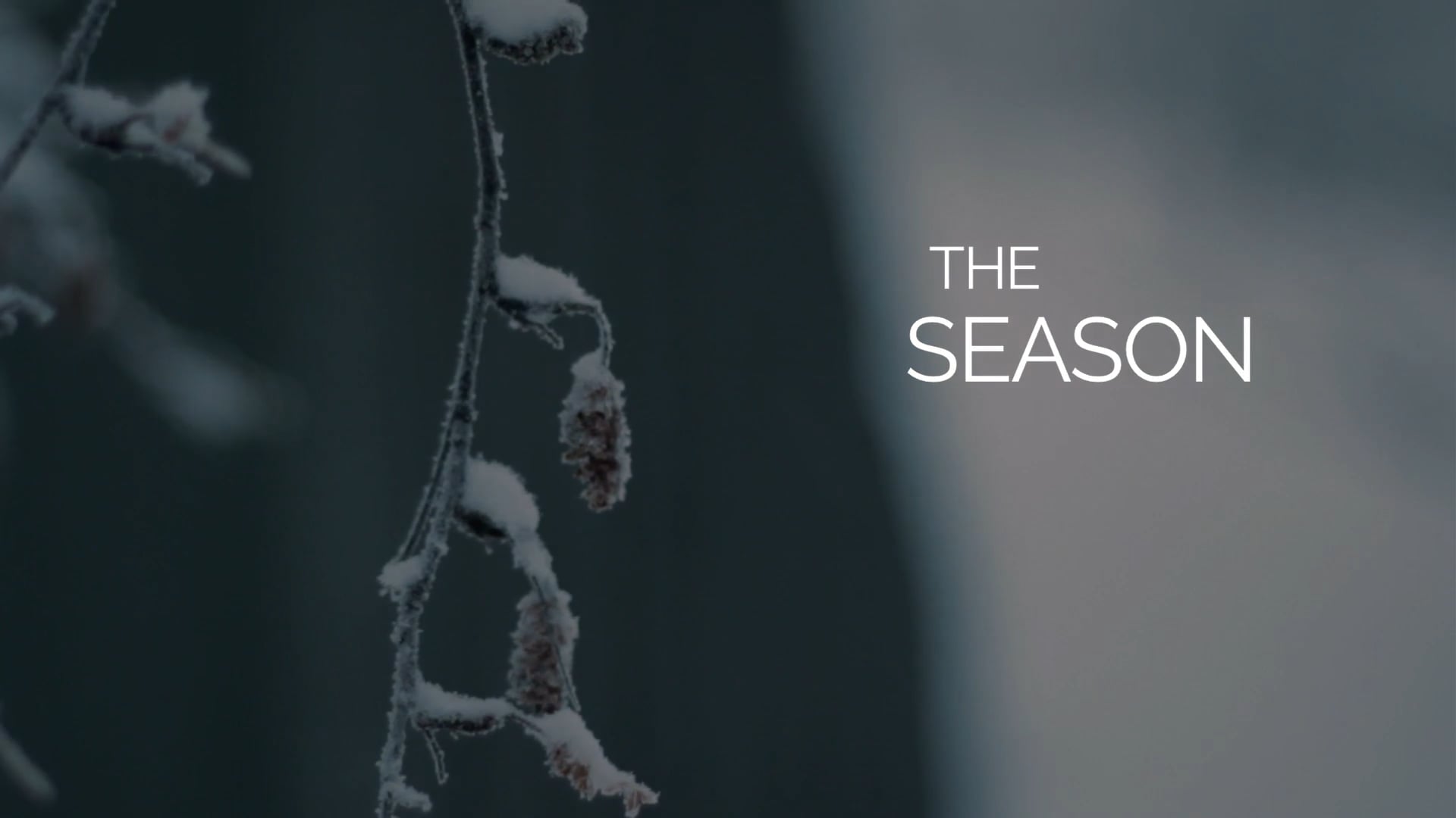 The Season
