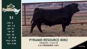 Lot #51 - PYRAMID RESOURCE 8082