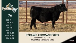 Lot #76 - PYRAMID COMMAND 9009