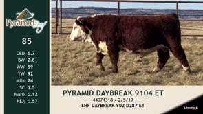 Lot #85 - PYRAMID DAYBREAK 9104 ET