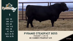 Lot #1 - PYRAMID STEADFAST 8055