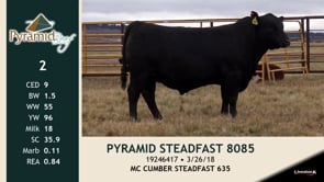 Lot #2 - PYRAMID STEADFAST 8085