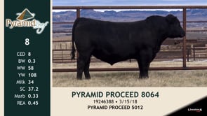 Lot #8 - PYRAMID PROCEED 8064