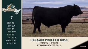 Lot #7 - PYRAMID PROCEED 8058