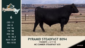 Lot #6 - PYRAMID STEADFAST 8094