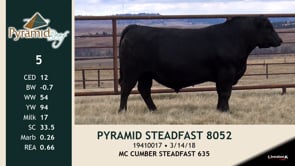 Lot #5 - PYRAMID STEADFAST 8052