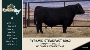 Lot #4 - PYRAMID STEADFAST 8062