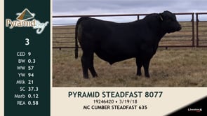 Lot #3 - PYRAMID STEADFAST 8077