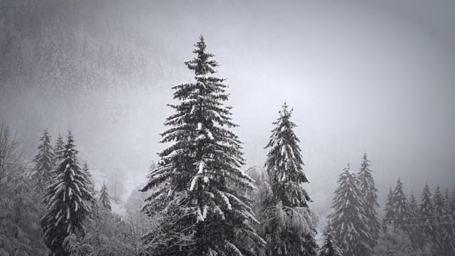 Hãy cùng chiêm ngưỡng những khung cảnh tuyết rơi mùa đông tuyệt đẹp nhất từ trên cao. Những hạt tuyết láng mịn bay trắng xóa giữa không trung với ánh nắng chiếu rọi, tạo nên một bức tranh tuyệt đẹp gợi nhớ về mùa đông lạnh giá.