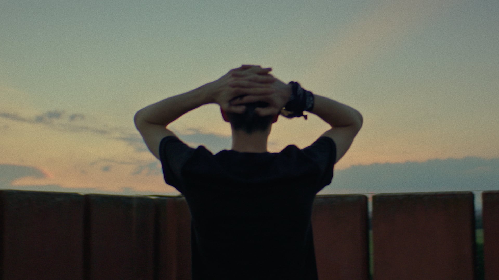 RAY - BAN  //  Wayfarer