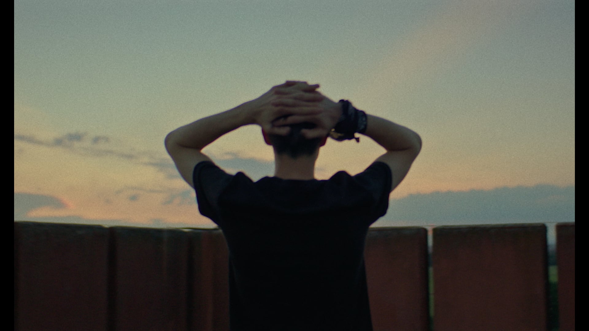 RAY - BAN  //  Wayfarer