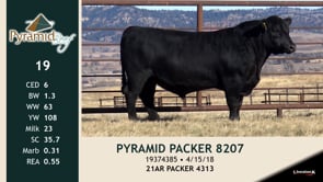 Lot #19 - PYRAMID PACKER 8207