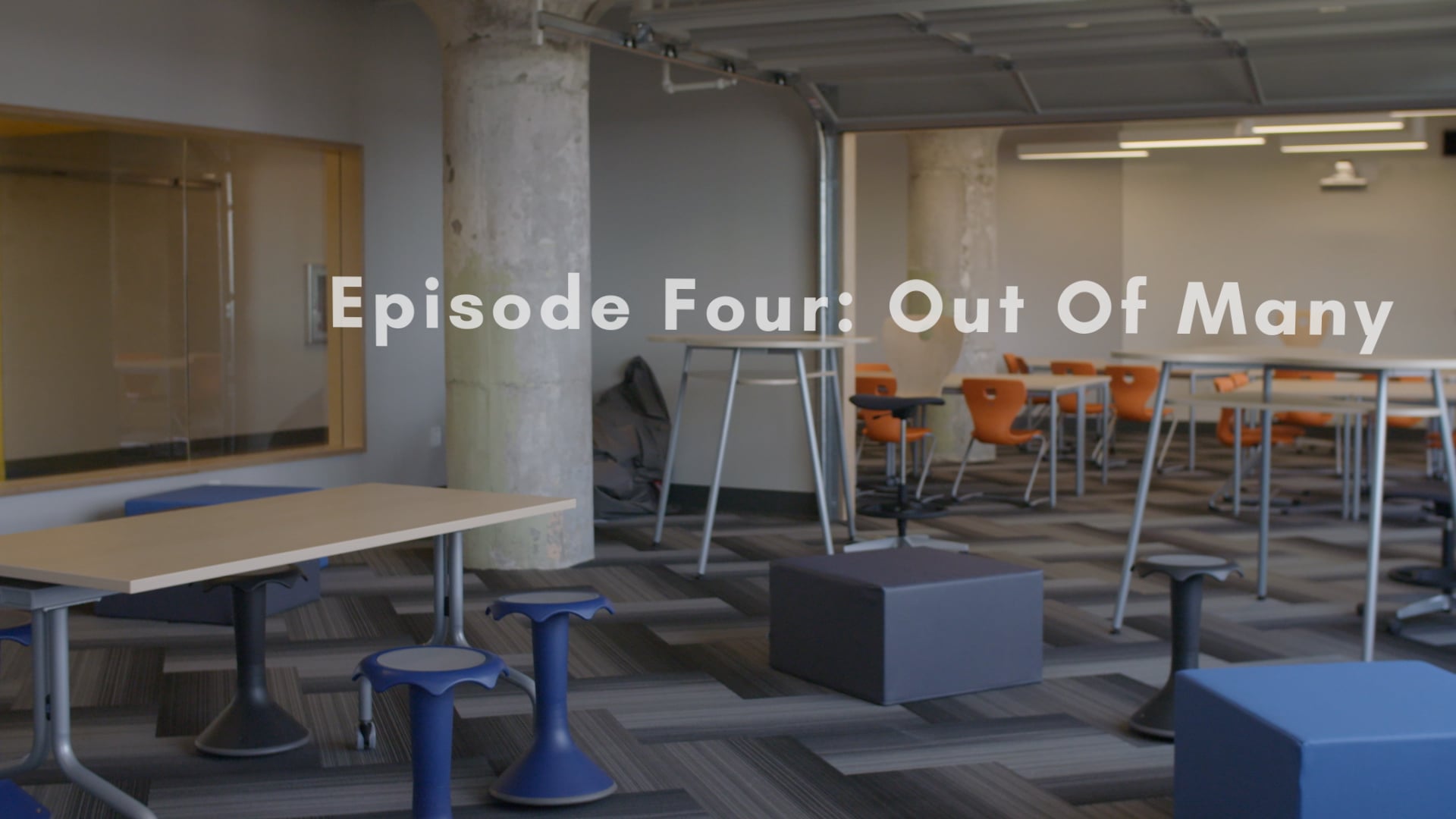 Diverse by Design | Episode 4: Out Of Many