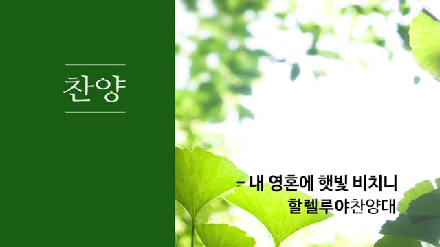 찬양대 및 특송 - 내 영혼에 햇빛 비치니(할렐루야 찬양대) - 11월 24일 주일 2부 예배