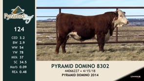 Lot #124 - PYRAMID DOMINO 8302