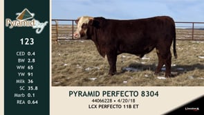 Lot #123 - PYRAMID PERFECTO 8304