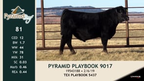 Lot #81 - PYRAMID PLAYBOOK 9017