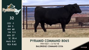 Lot #32 - PYRAMID COMMAND 8065