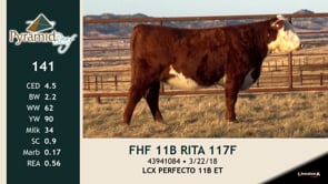 Lot #141 - FHF 11B RITA 117F