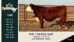 Lot #140 - FHF 11B RITA 102F