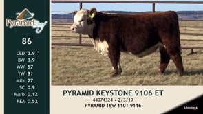 Lot #86 - PYRAMID KEYSTONE 9106 ET