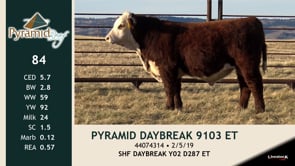 Lot #84 - PYRAMID DAYBREAK 9103 ET