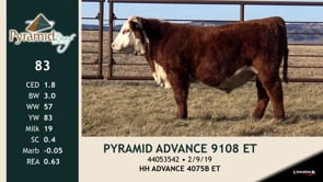 Lot #83 - PYRAMID ADVANCE 9108 ET