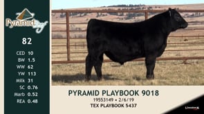 Lot #82 - PYRAMID PLAYBOOK 9018