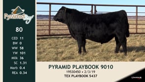 Lot #80 - PYRAMID PLAYBOOK 9010