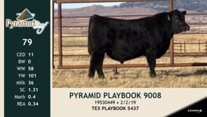 Lot #79 - PYRAMID PLAYBOOK 9008