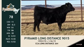 Lot #78 - PYRAMID LONG DISTANCE 9015