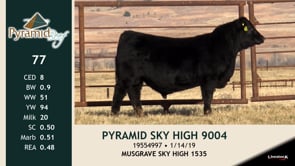 Lot #77 - PYRAMID SKY HIGH 9004