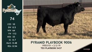 Lot #74 - PYRAMID PLAYBOOK 9006