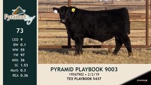 Lot #73 - PYRAMID PLAYBOOK 9003