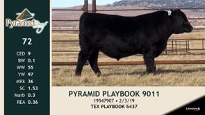 Lot #72 - PYRAMID PLAYBOOK 9011