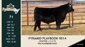 Lot #71 - PYRAMID PLAYBOOK 9014