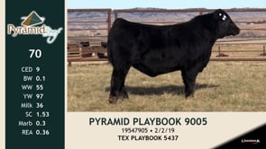 Lot #70 - PYRAMID PLAYBOOK 9005