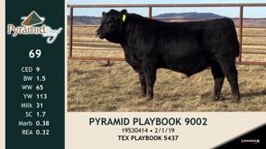 Lot #69 - PYRAMID PLAYBOOK 9002