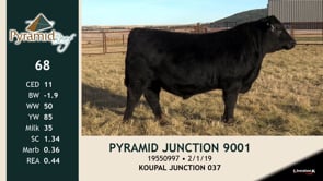 Lot #68 - PYRAMID JUNCTION 9001