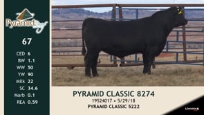 Lot #67 - PYRAMID CLASSIC 8274
