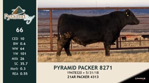 Lot #66 - PYRAMID PACKER 8271