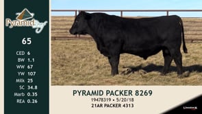 Lot #65 - PYRAMID PACKER 8269