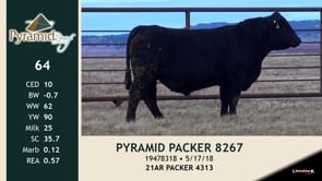 Lot #64 - PYRAMID PACKER 8267