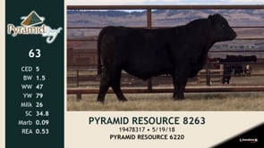 Lot #63 - PYRAMID RESOURCE 8263
