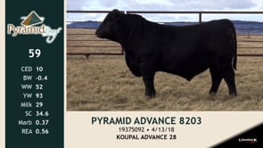 Lot #59 - PYRAMID ADVANCE 8203