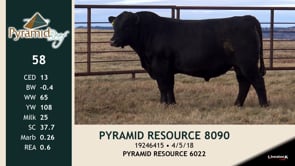 Lot #58 - PYRAMID RESOURCE 8090